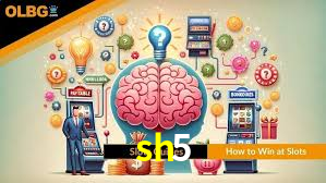 VIP Casino sh5